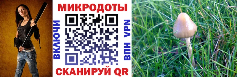 Псилоцибиновые грибы Magic Shrooms  Балабаново 